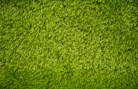 Green grass backgroundの写真素材
