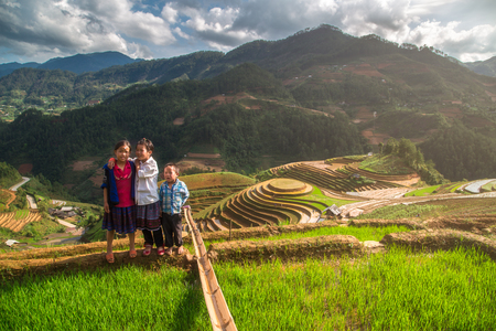 MUCANGCHAI, VIETNAM, MAY 24 , 2017: The Farmers can not be Identified from the terraced rice fields harvest .Mu Cang Chai is a district of Yen Bai province, in the northeastern region of Vietnam.のeditorial素材