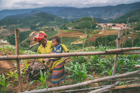 MUCANGCHAI, VIETNAM, MAY 24 , 2017: The Farmers can not be Identified from the terraced rice fields harvest .Mu Cang Chai is a district of Yen Bai province, in the northeastern region of Vietnam.のeditorial素材