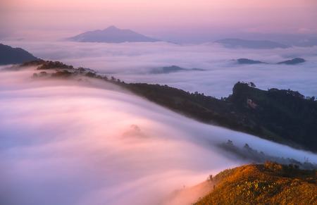 the mist at Phu Chi Fa in the morning chiang rai thailandの写真素材