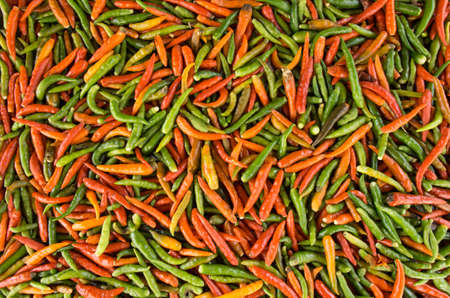 Chiliの写真素材