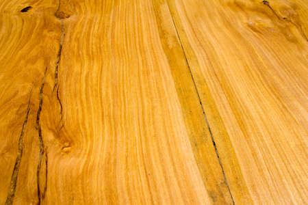 Texture of wood, for background.の写真素材