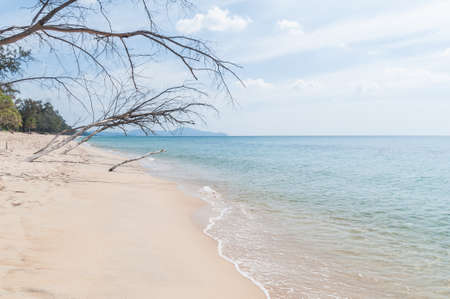 tropical beach in Thailandの写真素材