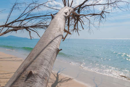 tropical beach in Thailandの写真素材