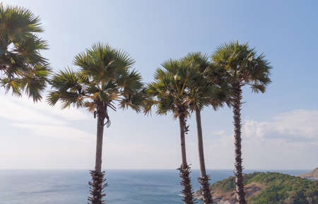 Island in the Pukedの写真素材