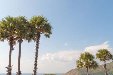 Island in the Pukedの写真素材