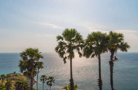 Island in the Pukedの写真素材