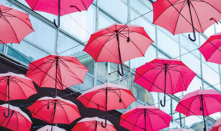 Umbrellas hanging between two buildingsの写真素材