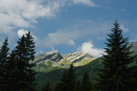 High mountain peaks seen through the trees