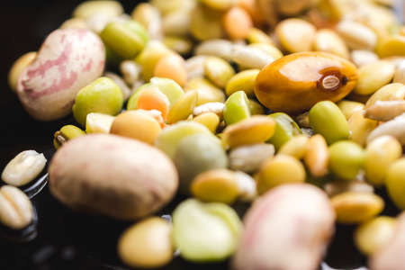 Close up shot of different kind of legumes on a black reflective surfaceの写真素材