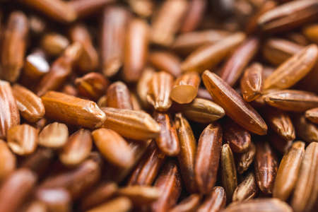 Macro shot of red riceの写真素材