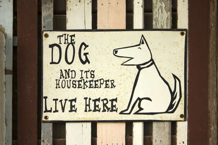 dog sign on の写真素材