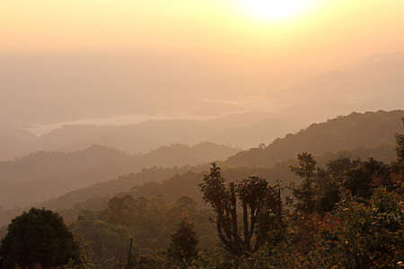 sunrise over black forestの写真素材