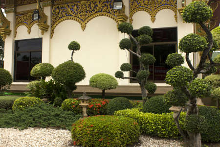Gardenの写真素材