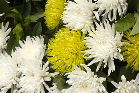 bouquet of flowersの写真素材