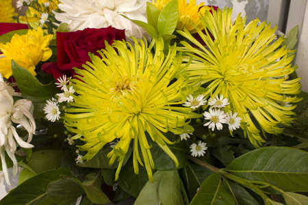 bouquet of flowersの写真素材