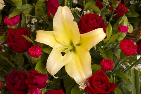 bouquet of flowersの写真素材