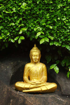 Golden Buddha and green leafの写真素材