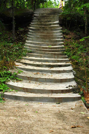 forest path and Concrete wayの写真素材