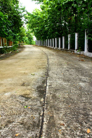 forest path and cocreat wayの写真素材