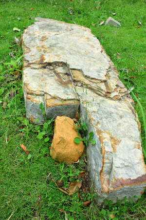 a stone in green grassの写真素材