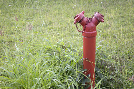 Old red fire hydrant on grassの写真素材
