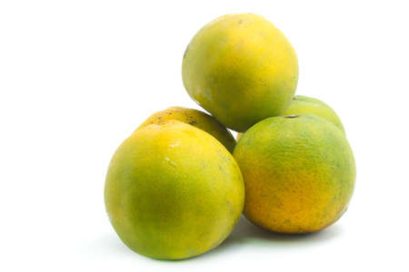 Orange fruit isolated on white background  の写真素材