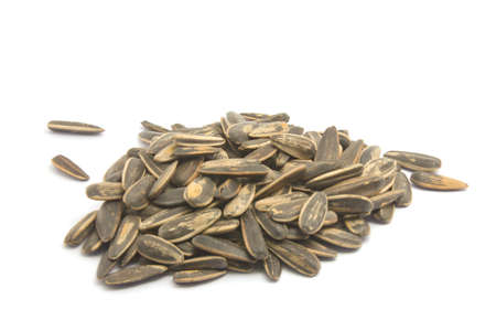  sunflower seeds isolated on white background  の写真素材