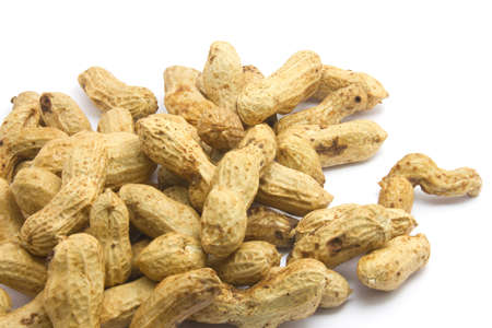 Many peanuts on white background , peanutsの写真素材