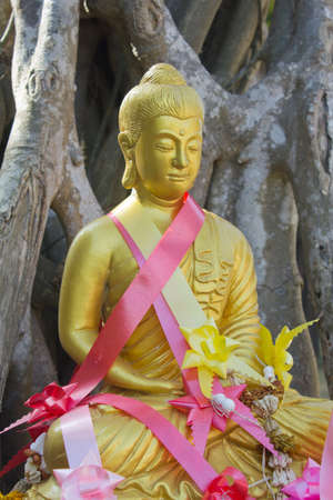 A golden Buddha statue in the garden ,Thai temple ,Thailand の写真素材