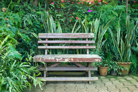 chair in a garden on stone floorの写真素材