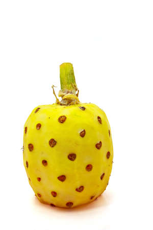 A fresh pineapple on white bacground  の写真素材