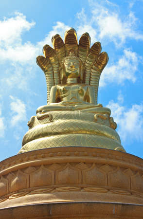 Golden buddha with 7 head snake on blue skyの写真素材