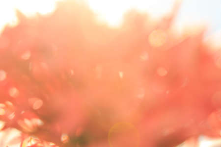 abstract light for background , bokeh for backgroundの写真素材