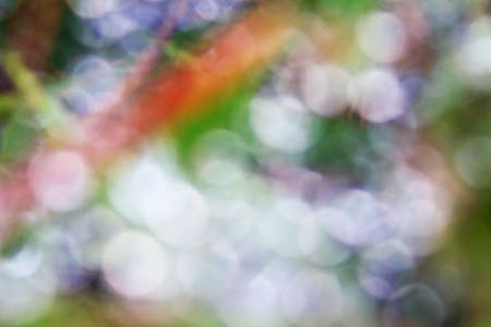 abstract light for background , bokeh for backgroundの写真素材