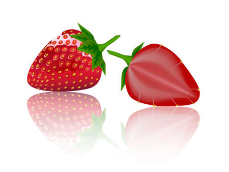 beautiful strawberries illustration of a realistic  のイラスト素材