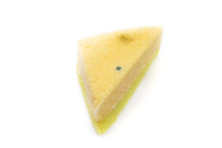Photo of a piece of bread and mold on a white background の写真素材