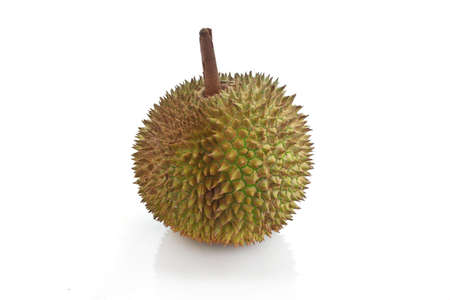 Durian, the king of fruitの写真素材