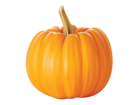 Isolated close - up of a realistic pumpkinのイラスト素材