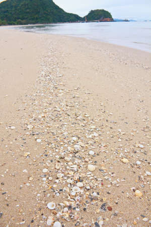 Many Broken Seashells On Beach , Broken Seashells の写真素材
