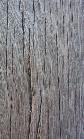 The Brown wood texture  The Abstract background の写真素材