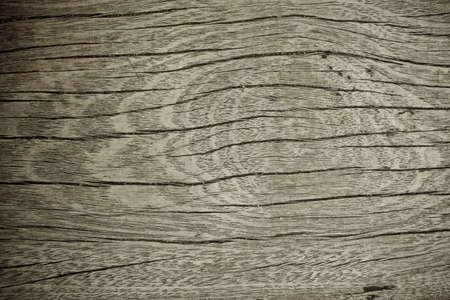 The Brown wood texture  The Abstract background の写真素材