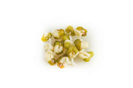 Sprouted mung beans on the white backgroundの写真素材