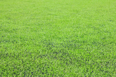 Photo of a green synthetic grass sports fieldの写真素材