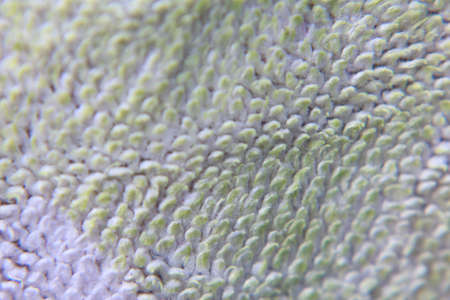 A fine texture of bright white bath towel  の写真素材