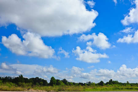 green field and tree with blue skyの写真素材