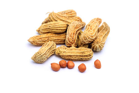 Dried peanuts on the white background (Dry grains)