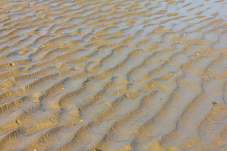 Wet sand texture on ocean shore formed by gentle waves の写真素材