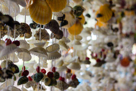 The beautiful Sea shell curtain selective focus の写真素材