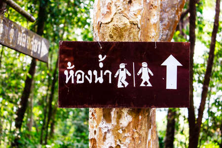 The funny toilet sign on tree in parkの写真素材